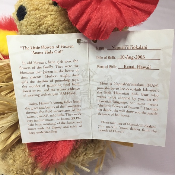 Hawaiian Collectibles Hula Girl Bear Passport Grass Skirt Plush w/Tag 2003 - Picture 7 of 12